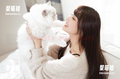 泥泥汝 泥泥汝的肉丝狂欢:图库下载,随你来挑选